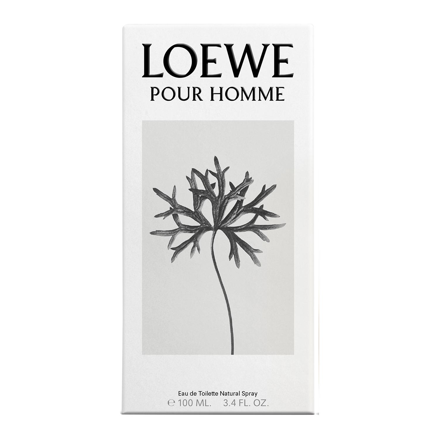 LOEWE POUR HOMME EAU DE TOILETTE